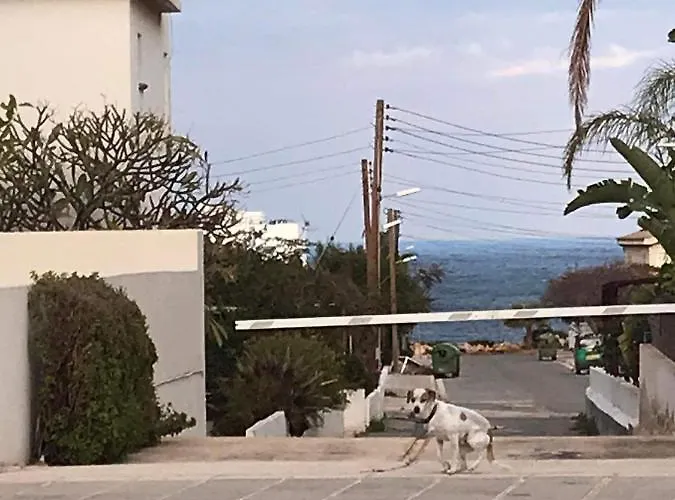 Апартаменты Sunny By Konnos